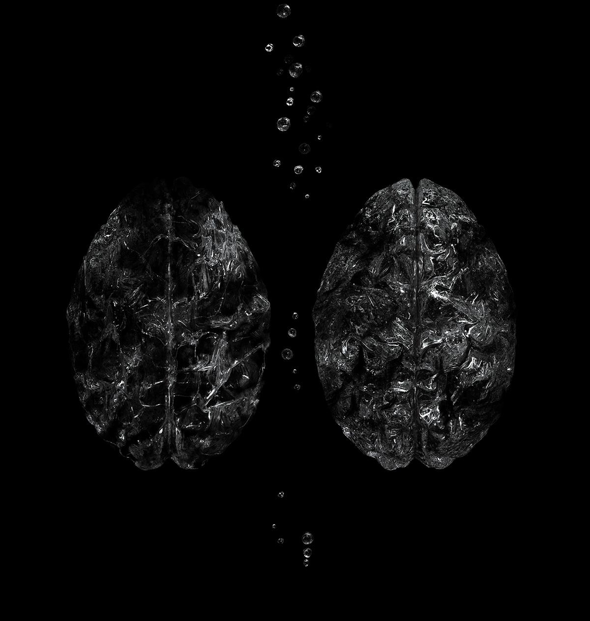 brain