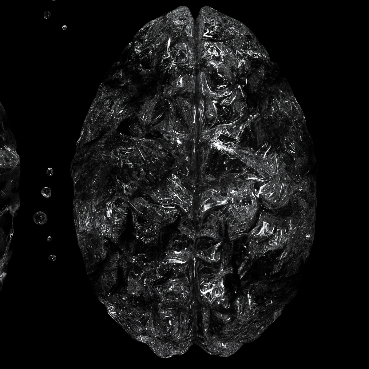 brain_1
