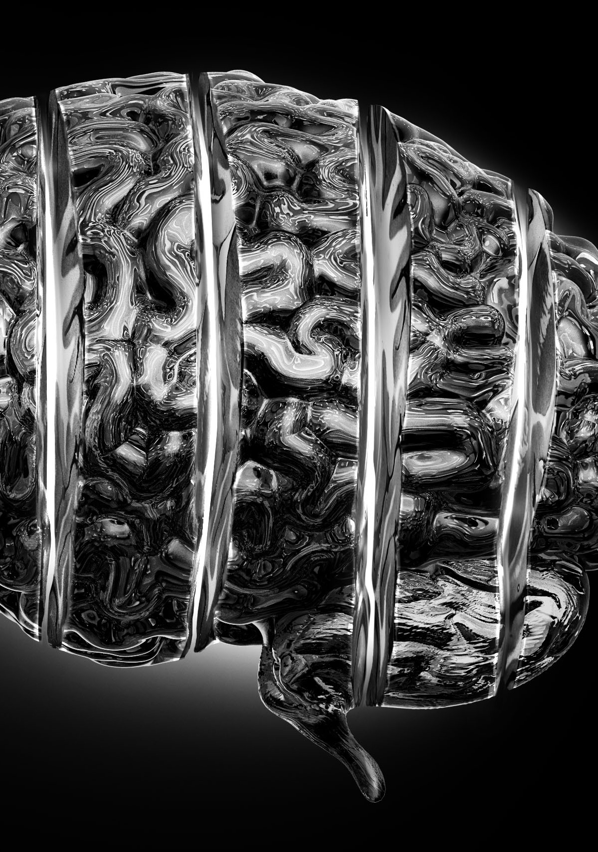brain_germany_2