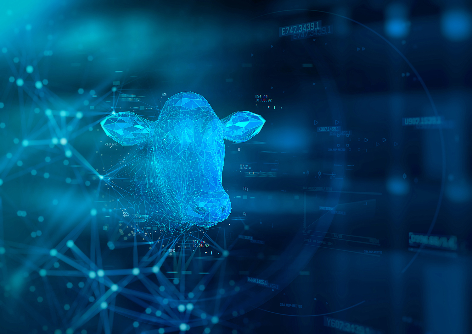 COW_DIGITAL_1
