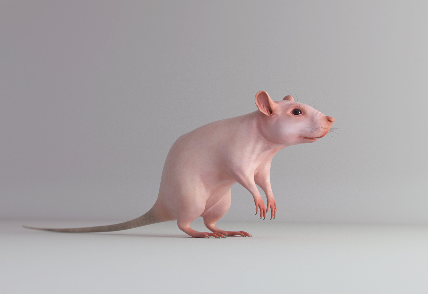 rat_complete