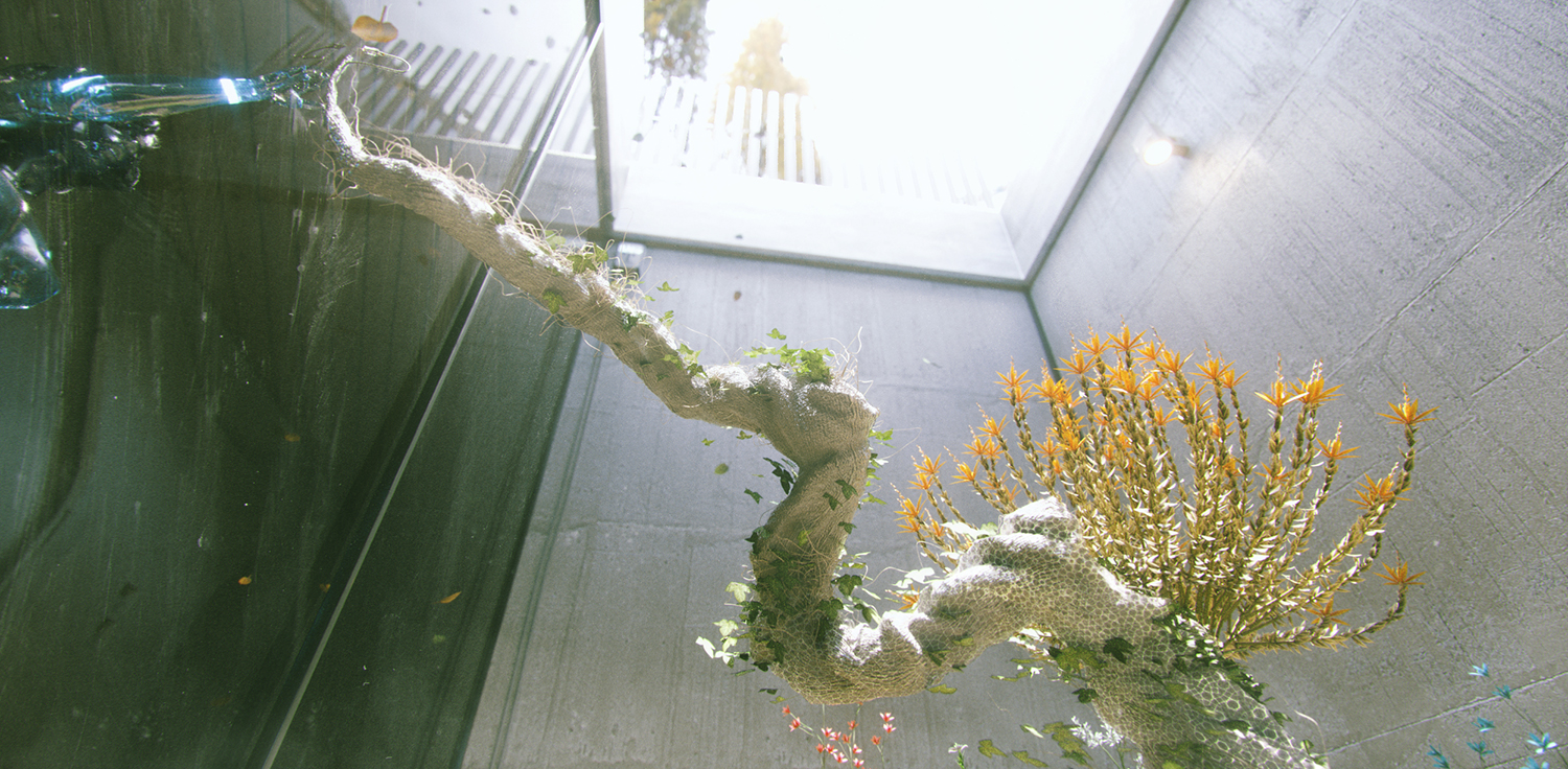 house_v_070000