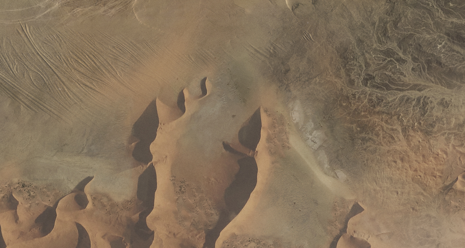 crop_03