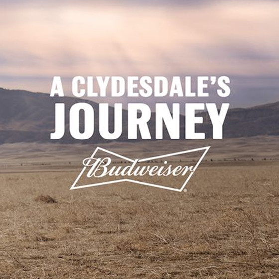 budweiser